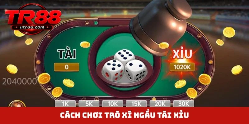 Cách chơi trò xí ngầu tài xỉu