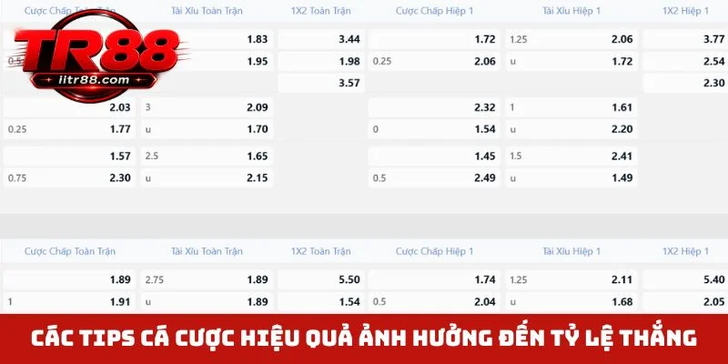 Các tips cá cược hiệu quả ảnh hưởng đến tỷ lệ thắng