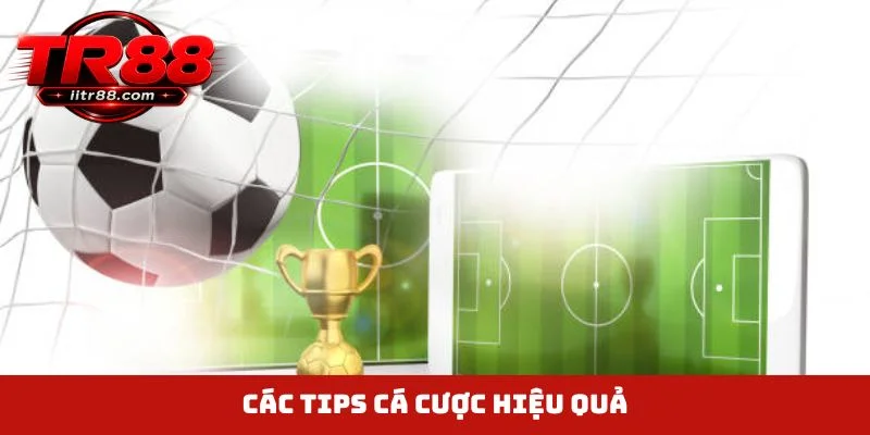 Các tips cá cược hiệu quả