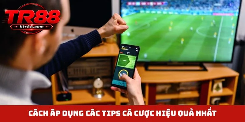 Cách áp dụng các tips cá cược hiệu quả nhất